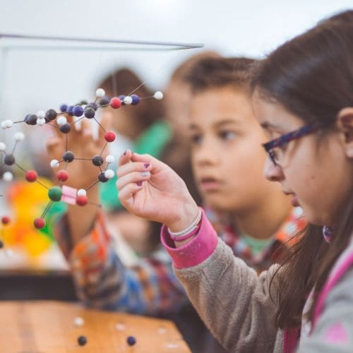 Education: Students learning